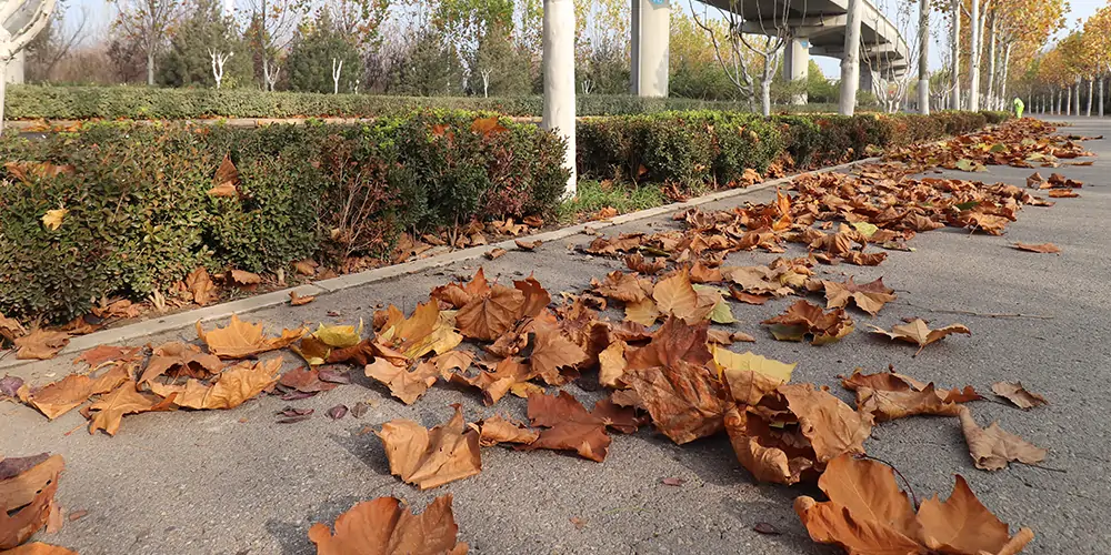 純電動(dòng)多功能樹(shù)葉收集車/