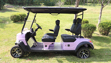 高爾夫球車(chē)BY-G-Q4車(chē)輛底盤(pán)